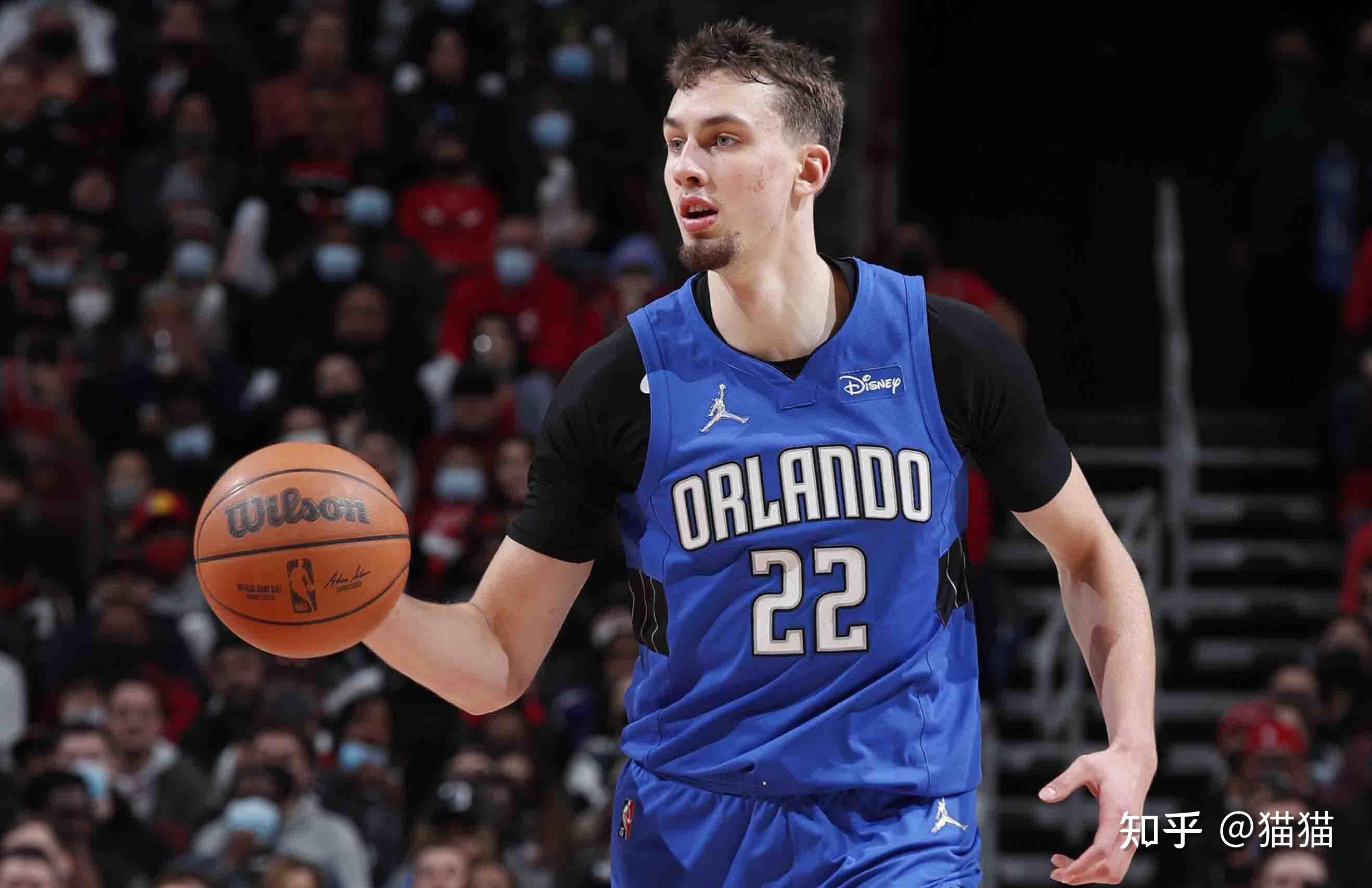 的職業生涯 的職業生涯