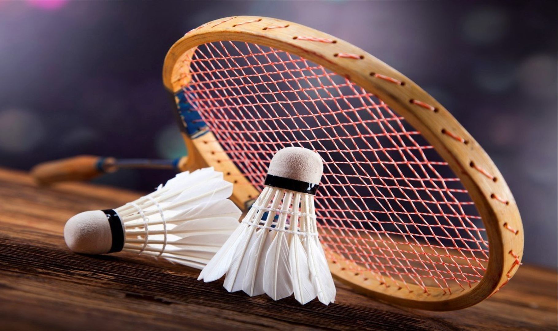 1.3亿英镑！利物浦再破纪录签下伊萨克，欧洲足坛迎来红色王朝时代